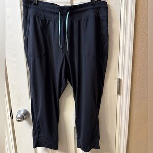 NWOT GreenTea Super Soft Charcoal Capris